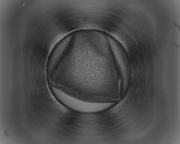 X0000093230943200710171415