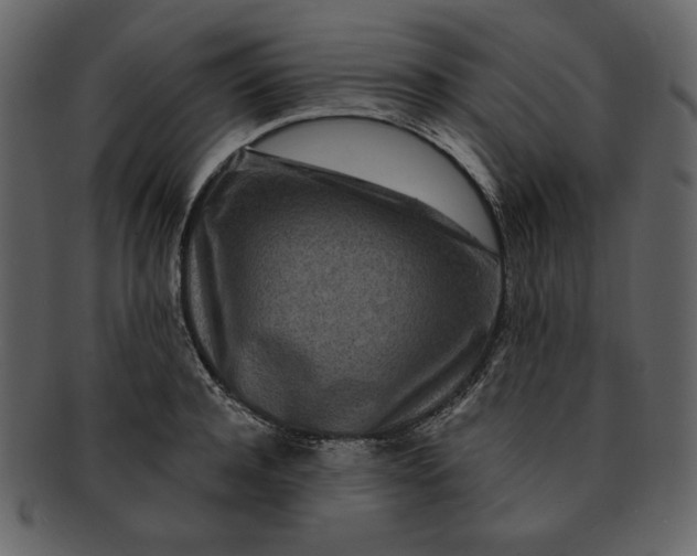 X0000093230944200710171416