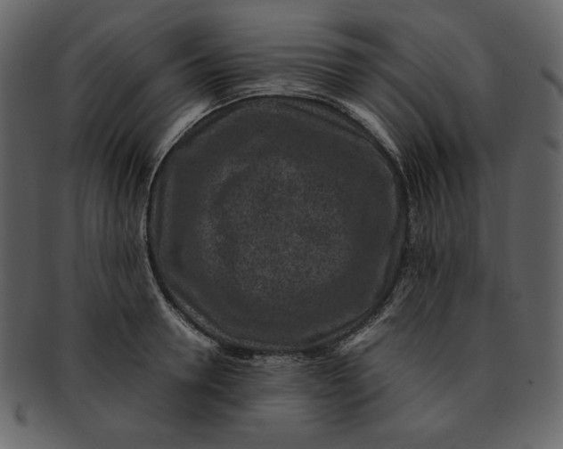 X0000093230946200710171416