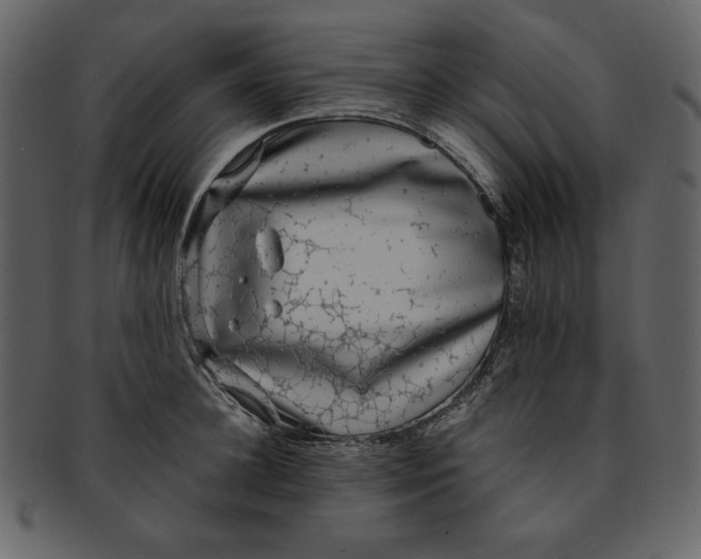 X0000093230948200710171416