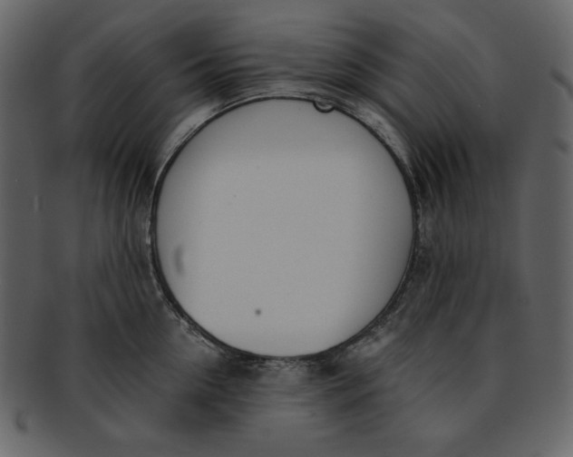 X0000093230954200710171416