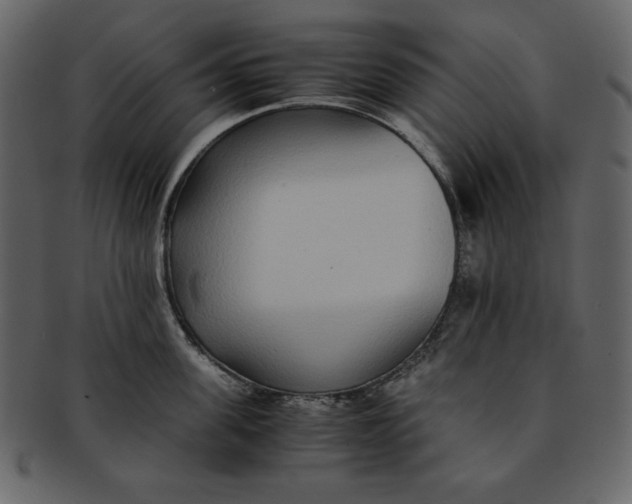 X0000093230955200710171416