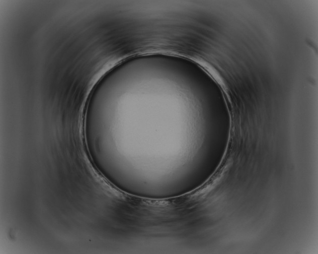 X0000093230957200710171416