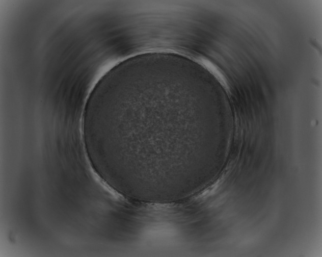 X0000093230958200710171416