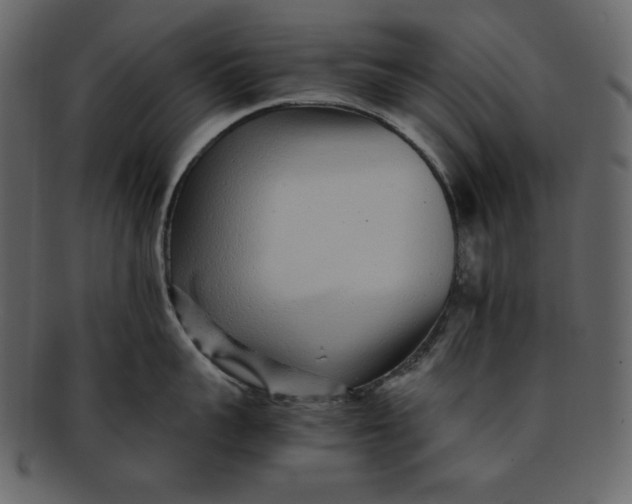 X0000093230959200710171416