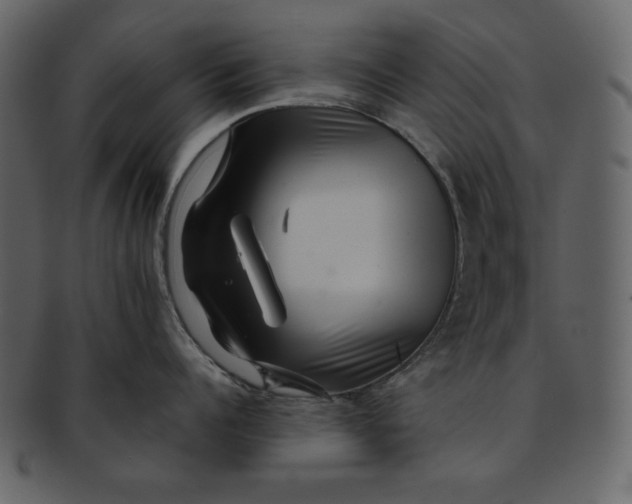 X0000093230960200710171416