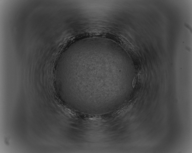 X0000093230961200710171415