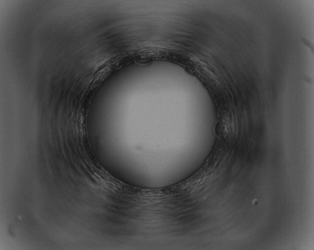 X0000093230964200710171415