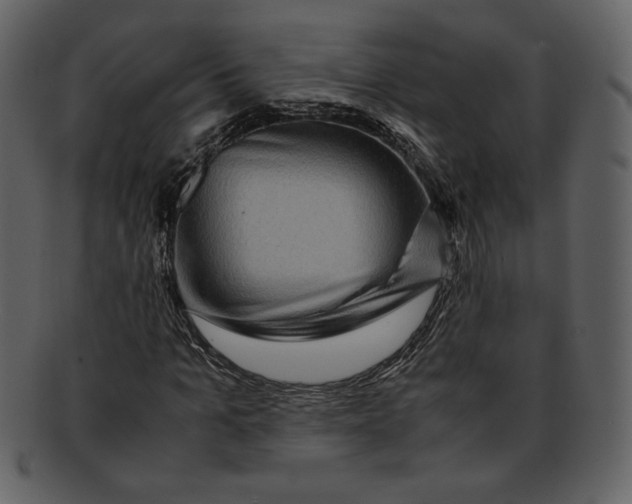 X0000093230965200710171415