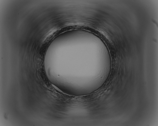 X0000093230967200710171415