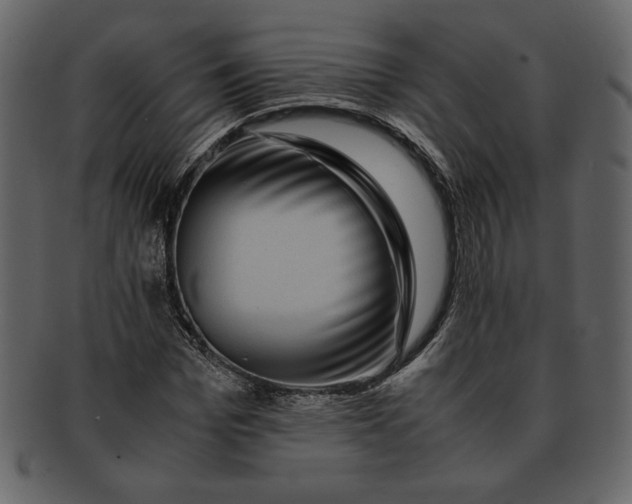 X0000093230969200710171415