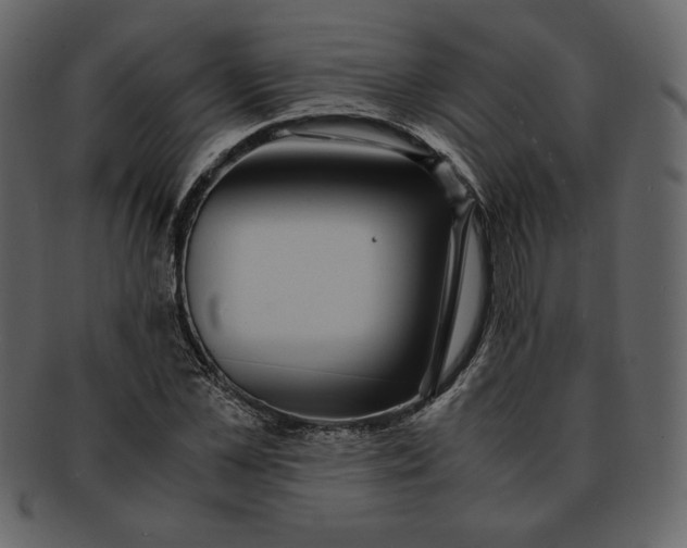 X0000093230973200710171415