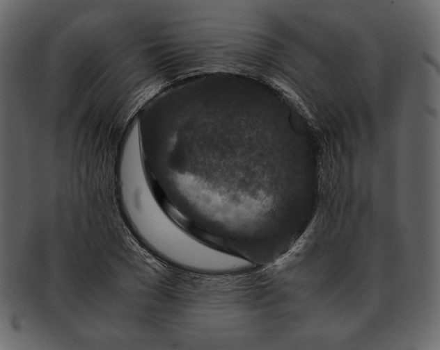 X0000093230977200710171415