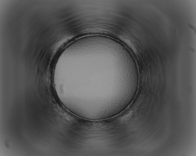 X0000093230979200710171415