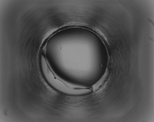 X0000093230981200710171415