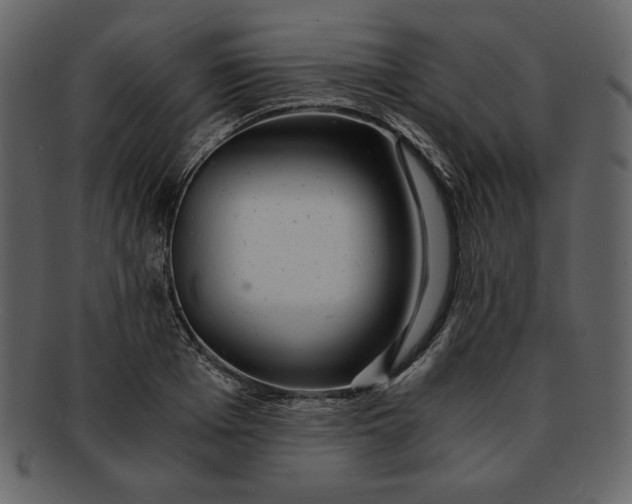 X0000093230985200710171415