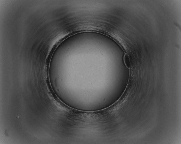 X0000093230987200710171415