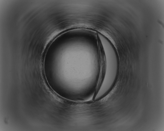 X0000093230989200710171415