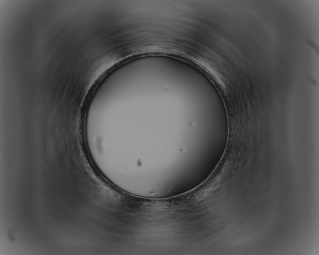 X0000093230991200710171414