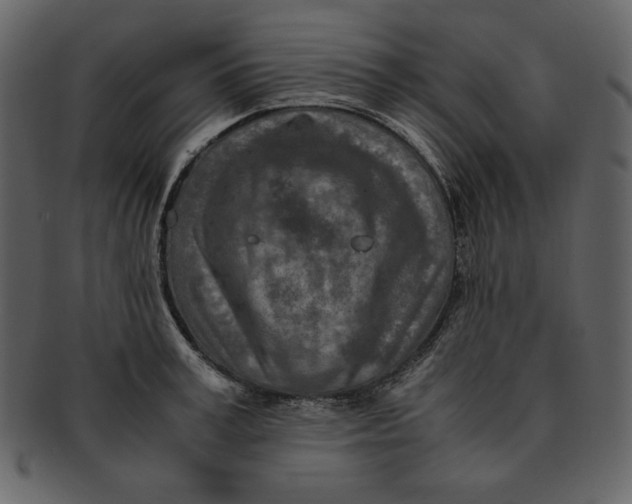 X0000093230995200710171414