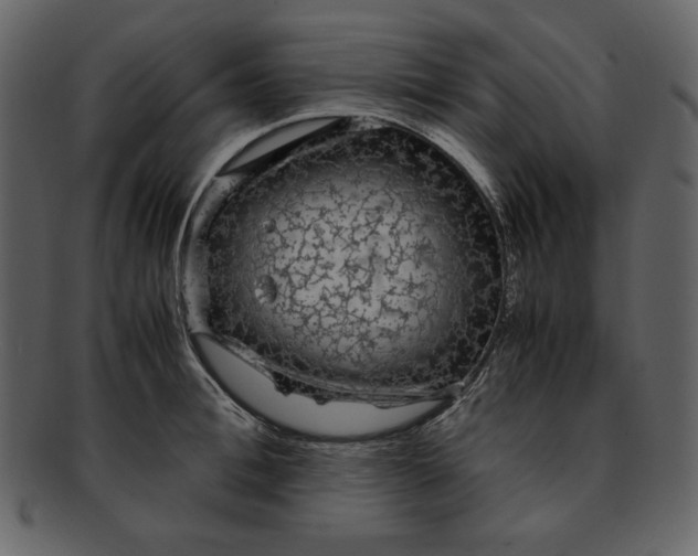 X0000093230996200710171414