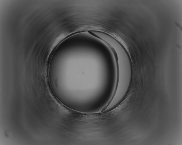 X0000093230997200710171414