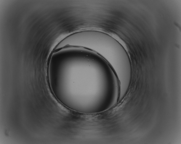 X0000093231005200710171414