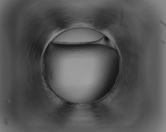 X0000093231008200710171414