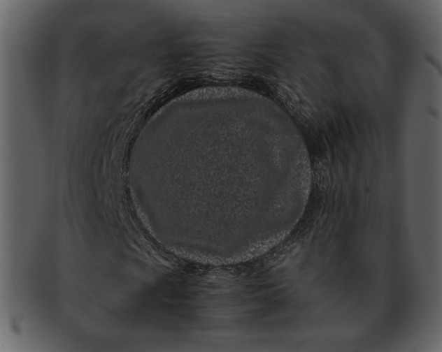 X0000093231009200710171414