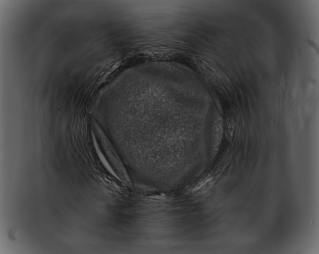 X0000093231010200710171414