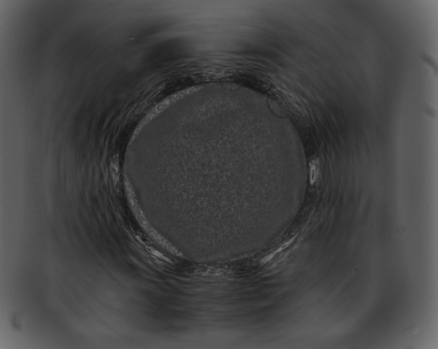 X0000093231011200710171414