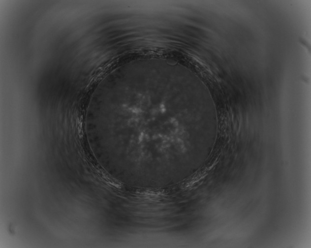 X0000093231013200710171414