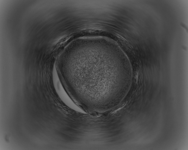 X0000093231014200710171414