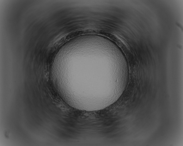 X0000093231015200710171414