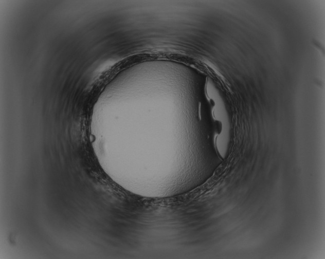 X0000093231016200710171414