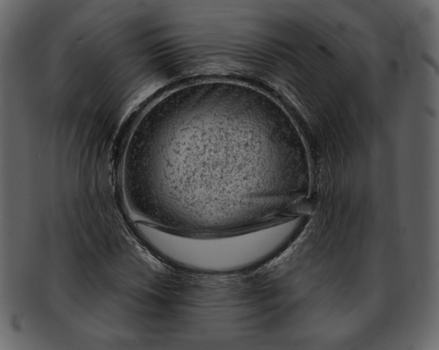 X0000093231018200710171414