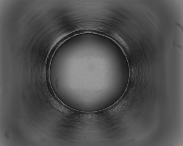 X0000093231020200710171414