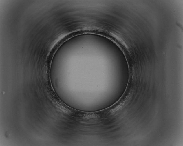 X0000093231021200710171414