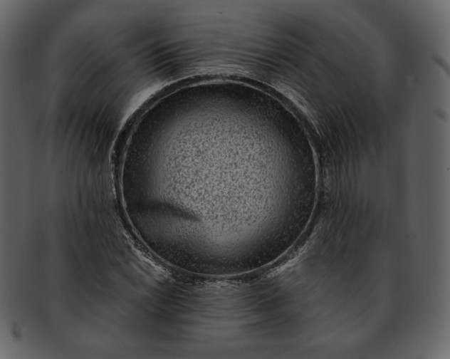 X0000093231022200710171414