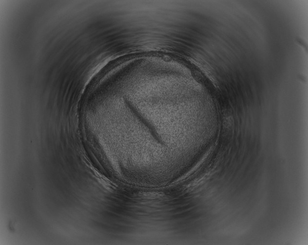 X0000093231023200710171414