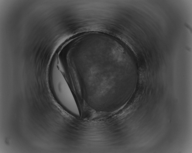 X0000093231024200710171414