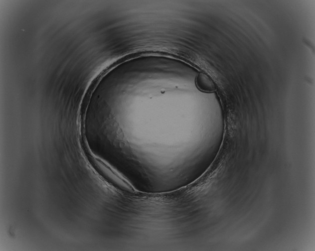 X0000093231028200710171414