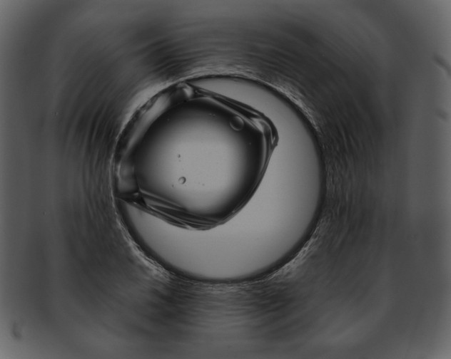 X0000093231030200710171414