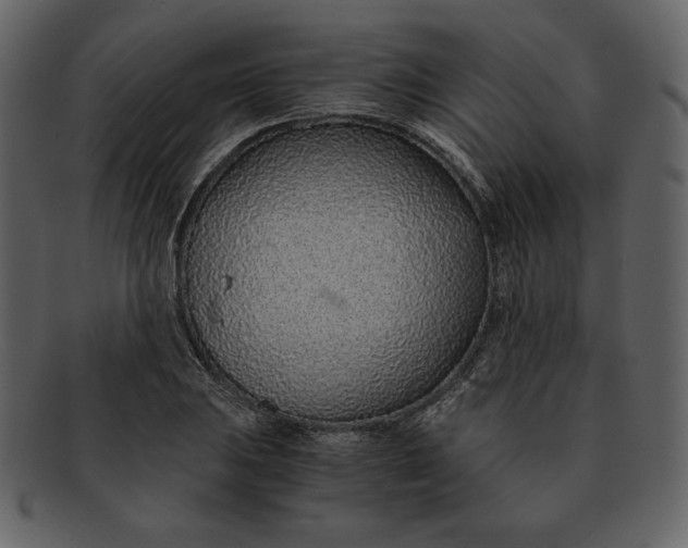 X0000093231031200710171414