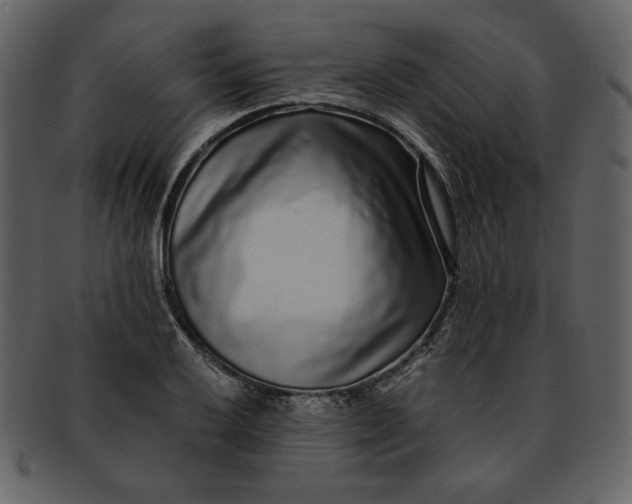 X0000093231032200710171414