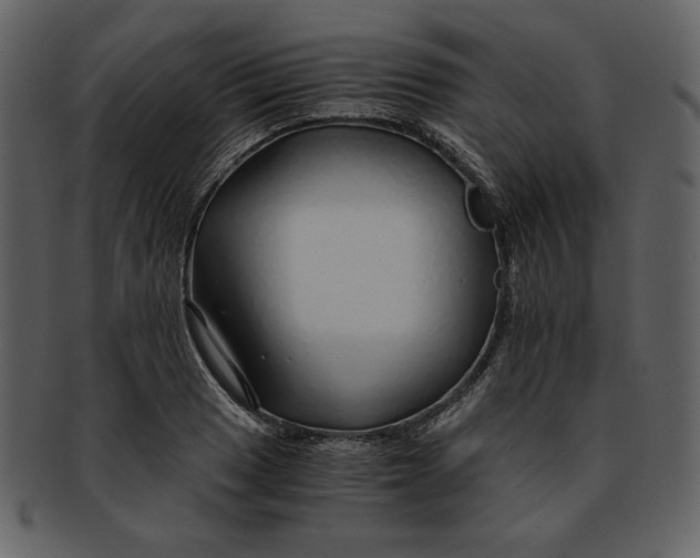 X0000093231033200710171414