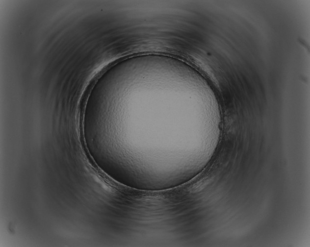 X0000093231035200710171414