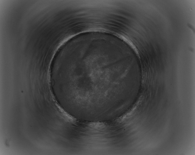 X0000093231037200710171414