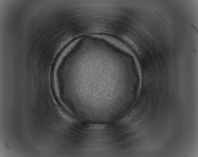 X0000093231039200710171414