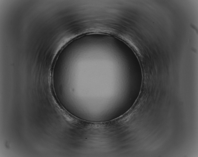 X0000093231040200710171414